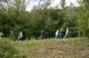 photo416_small.jpg