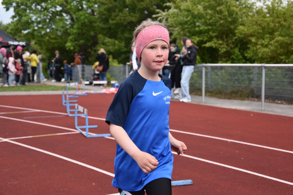 photo486.jpg