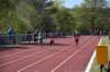 photo262_small.jpg