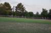 photo787_small.jpg