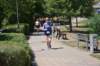 photo399_small.jpg