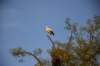 photo1447_small.jpg