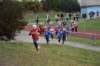 photo14_small.jpg