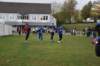 photo225_small.jpg