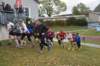 photo274_small.jpg