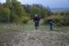 photo388_small.jpg