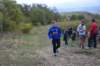 photo578_small.jpg