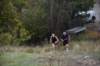 photo620_small.jpg