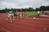 photo127_small.jpg