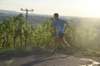 photo127_small.jpg