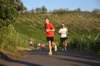 photo338_small.jpg