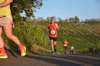 photo547_small.jpg