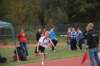 photo498_small.jpg