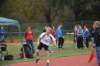 photo499_small.jpg