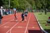 photo498_small.jpg