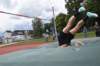 photo305_small.jpg