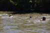 photo124_small.jpg