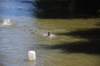 photo223_small.jpg