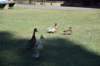photo909_small.jpg