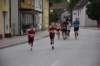 photo463_small.jpg
