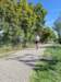 photo301_small.jpg