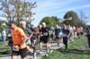 photo390_small.jpg